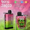 Bang 28K Ice Control 1
