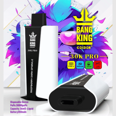 Bang King 30K プロ1スケール