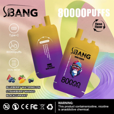 Bangリーダー 80K 5