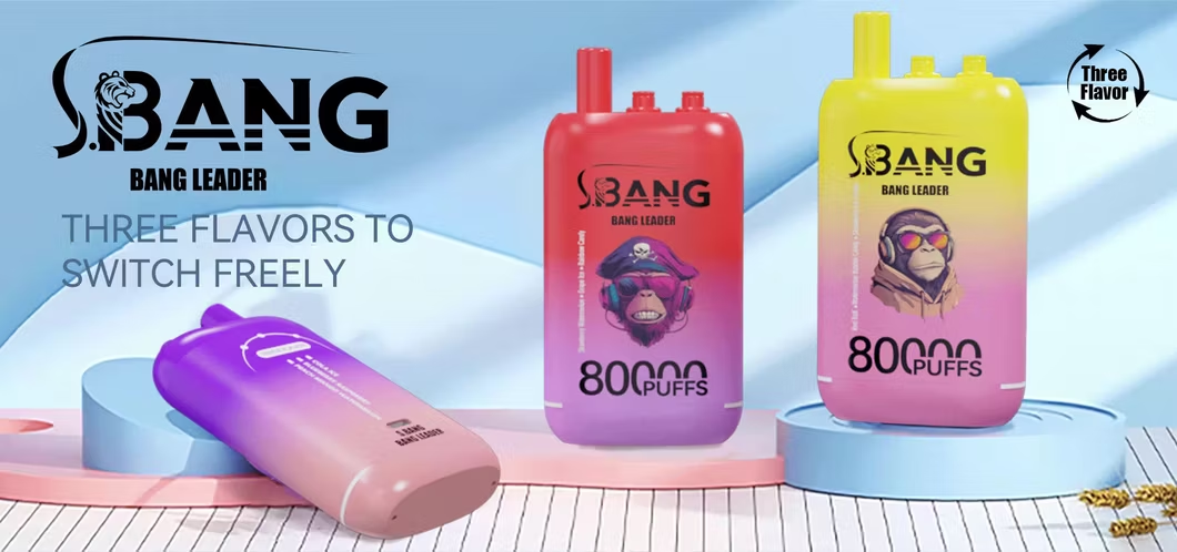Bangリーダー80Kバナー1