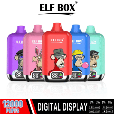 ELF BOX Digital 12k 1