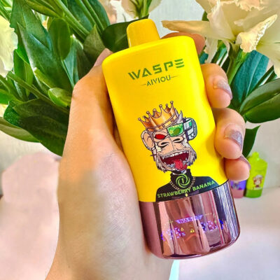 Waspe 60k 8