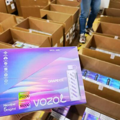 vozol gear shisha 25k 8