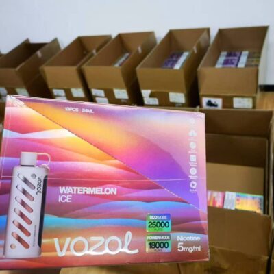 vozol gear shisha 25k 9