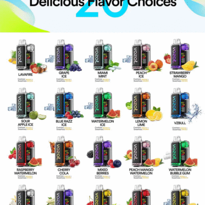 Vozol Vape - Disposable e-cigarette vapes wholesale