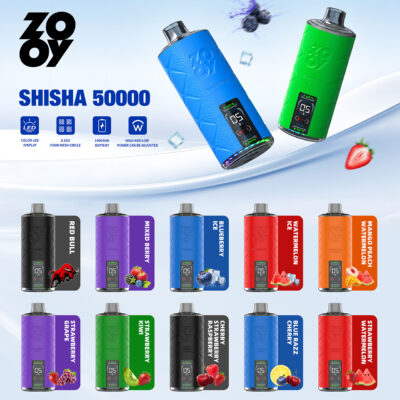 e-shisha kopf Mr Vapor Skyline 9K Disposable Vape Wholesale