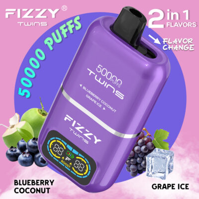 fizzy twins 50000 50k puffs blueberry coconut grape ice