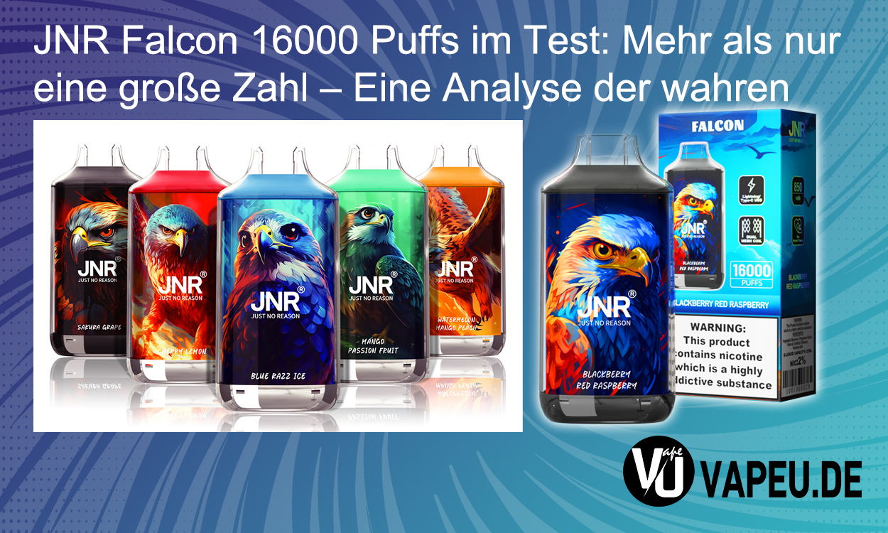 JNR Falcon 16000 Puffs Review: More Than Just a Big Number – An Analysis of Its True Performance