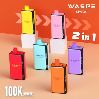 WASPE Double Flavor 100K Puffs Pro 2