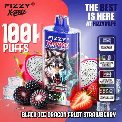 Fizzy X SPACE 100K Puffs Flavors 12