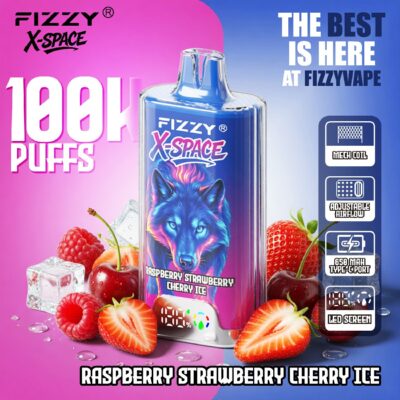 Fizzy X SPACE 100K Puffs Flavors 19