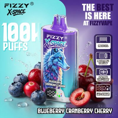 Fizzy X SPACE 100K Puffs Flavors 2