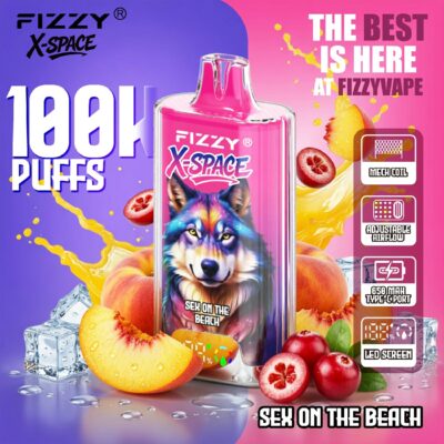 Fizzy X SPACE 100K Puffs Flavors 20