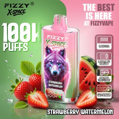 Fizzy X SPACE 100K Puffs Flavors 7