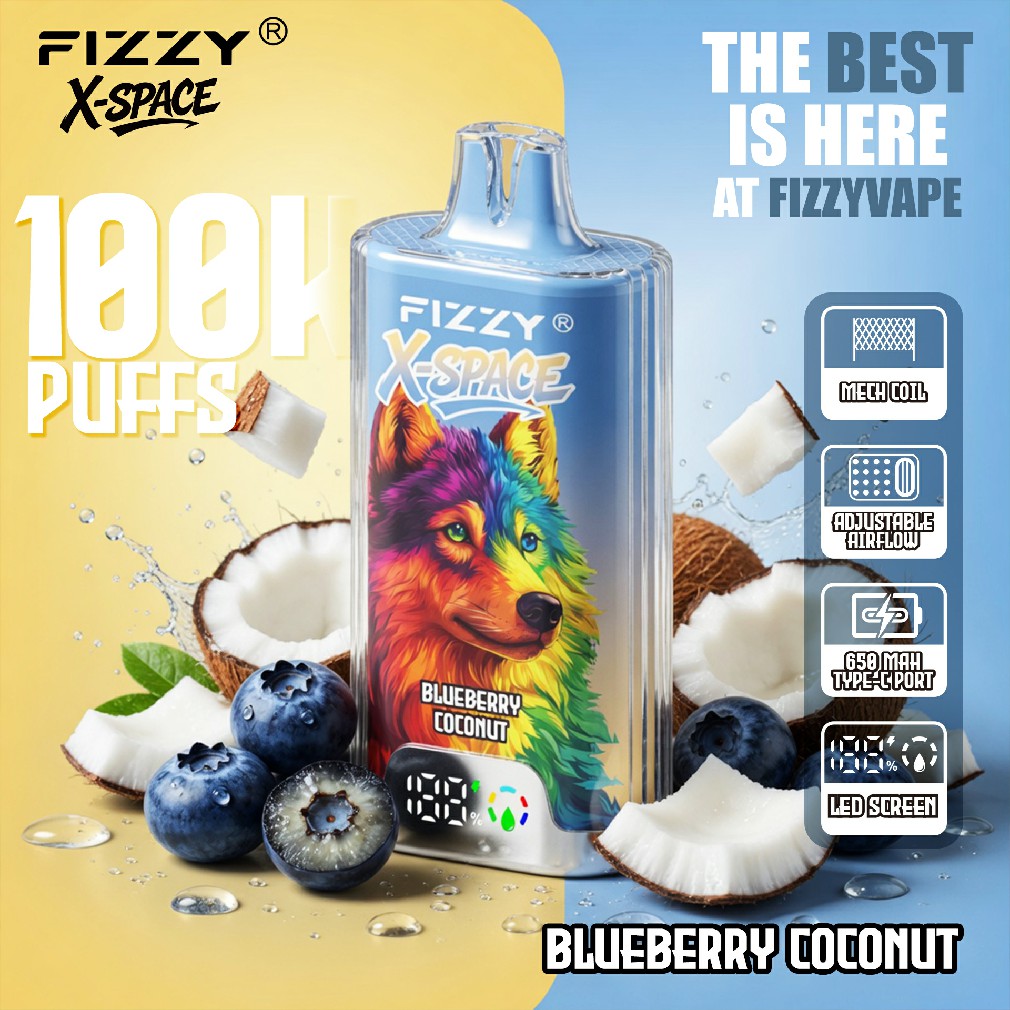 Fizzy X SPACE 100K Puffs Flavors 9