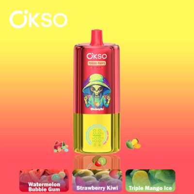 OKSO 3in1 70K Puffs Flavors 1