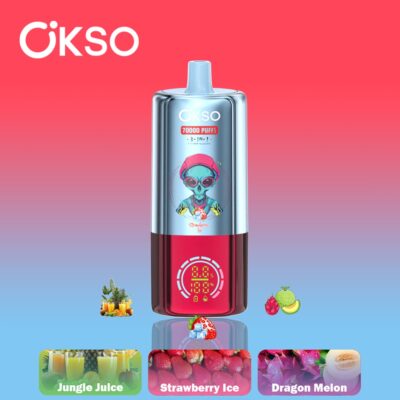 OKSO 3in1 70K Puffs Flavors 10