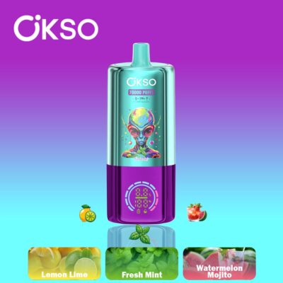 OKSO 3in1 70K Puffs Flavors 4