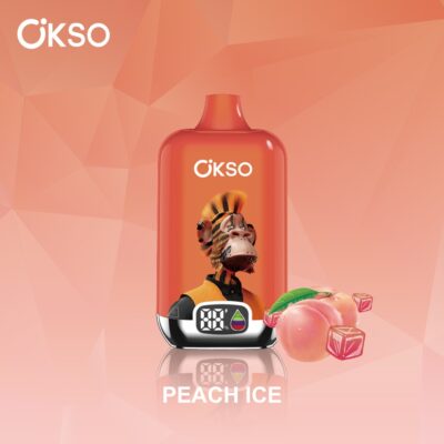 OKSO Digital 12000 Puffs Flavors 10