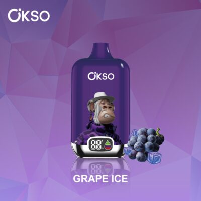 OKSO Digital 12000 Puffs Flavors 11