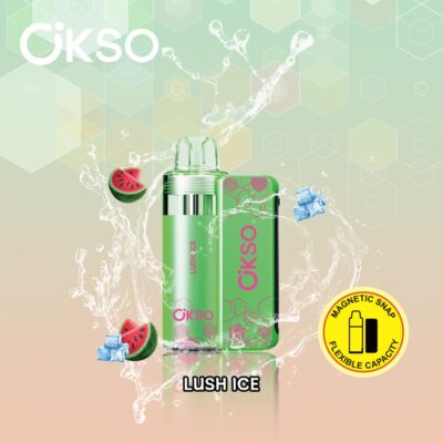 OKSO Switch Kit 50000 Puffs Flavors 2