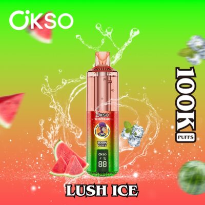 OKSO Tornado 100K Puffs Flaovrs 12