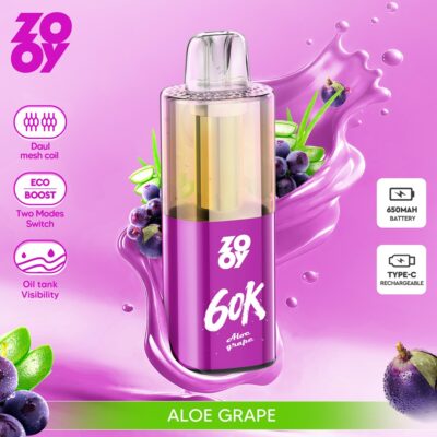 ZOOY Fizzy 60000 Puffs Flavors 6