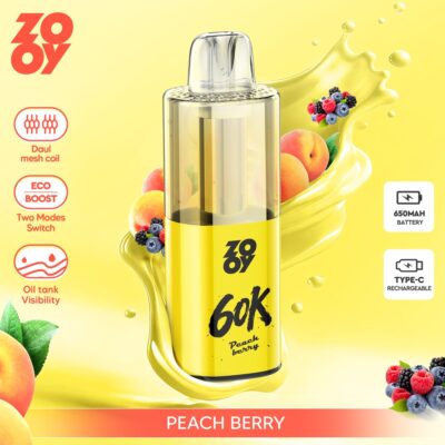 ZOOY Fizzy 60000 Puffs Flavors 7