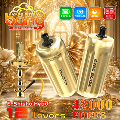 Bang Blaze Shisha 42000 Puffs