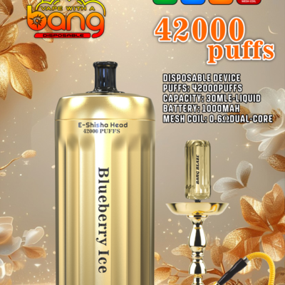Bang Blaze Shisha 42000 Puffs Flavors 6