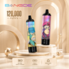 Bang DE 120K Puffs