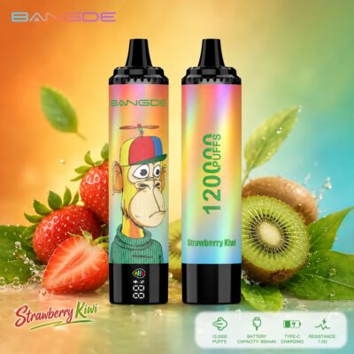Bang DE 120K Puffs Flavors Strawberry Kiwi