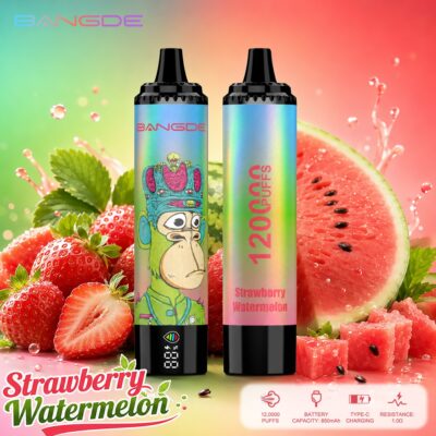 Bang DE 120K Puffs Flavors Strawberry Watermelon