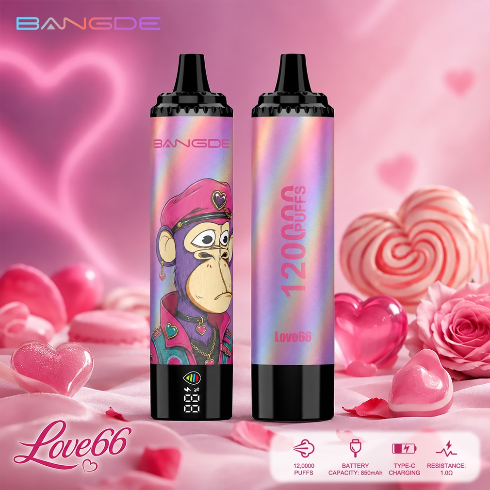 Bang DE 120K Puffs Flavors love66