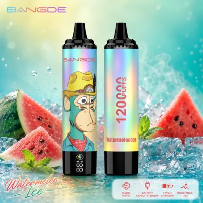 Bang DE 120K Puffs Flavors watermelon ice