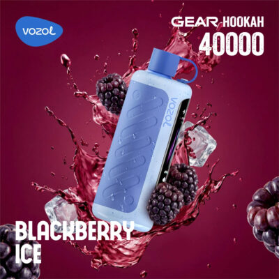 Vozol Gear Hookah 40000 Puffs Flavors 13