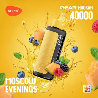 Vozol Gear Hookah 40000 Puffs Flavors 17