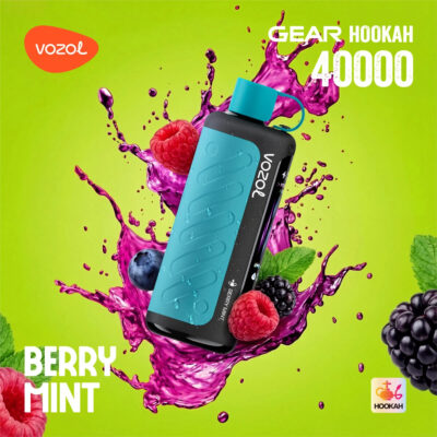 Vozol Gear Hookah 40000 Puffs Flavors 27