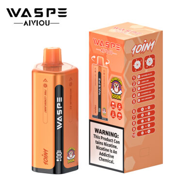 Waspe 10in1 Quinton 500K Puffs Flavors 2