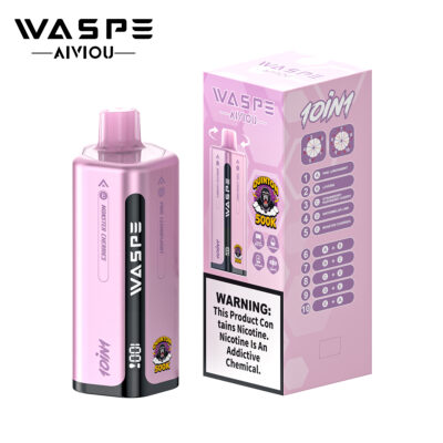 Waspe 10in1 Quinton 500K Puffs Flavors 4