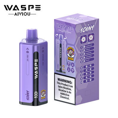 Waspe 10in1 Quinton 500K Puffs Flavors 6